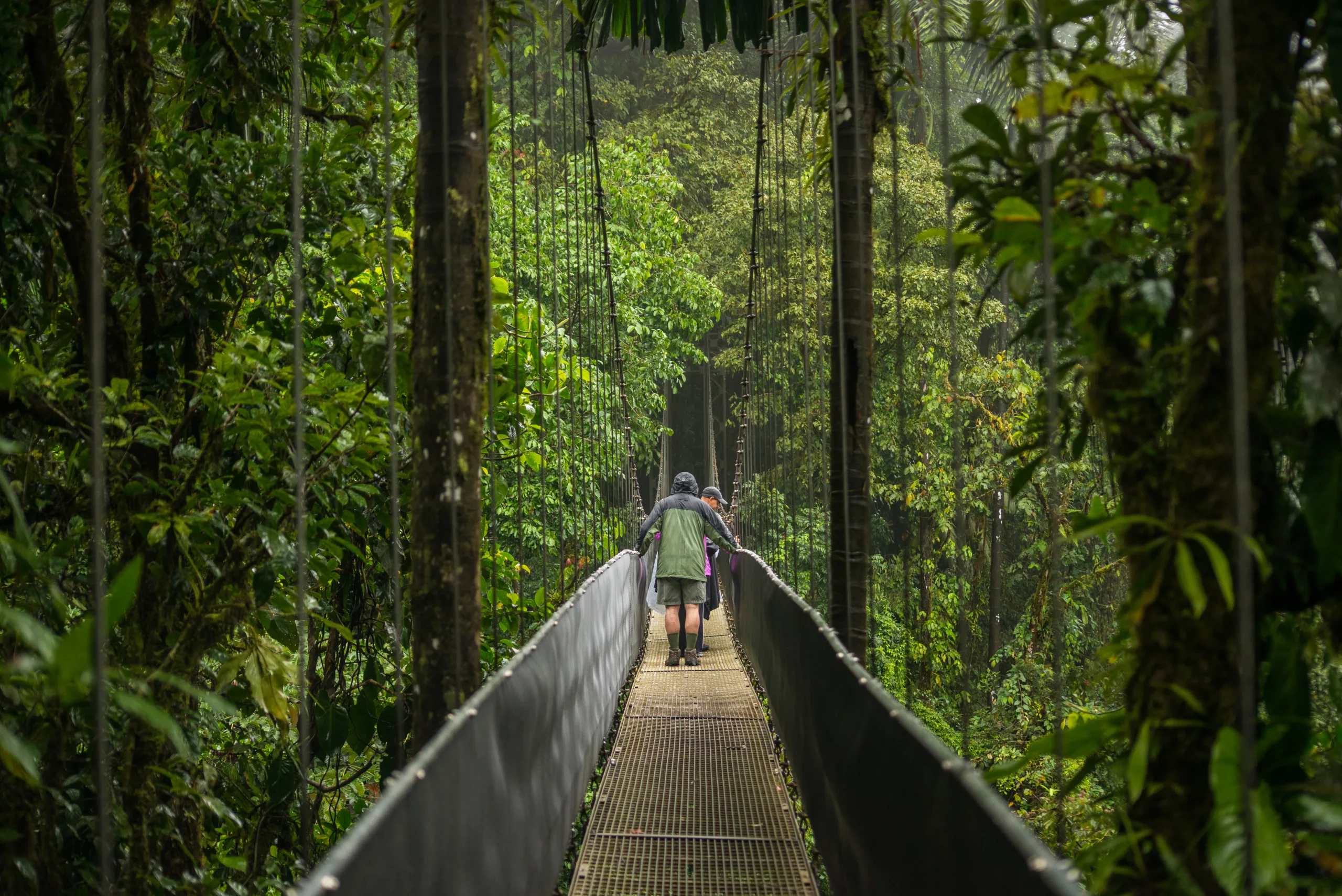 Puentes Colgantes