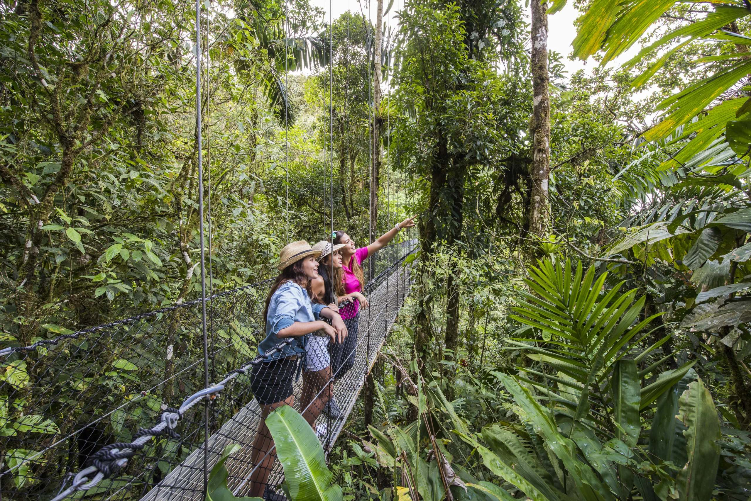 Nature Lover Combo 1 (Puentes Colgantes + Catarata de La Fortuna + Almuerzo + Caminata al Volcán Arenal)